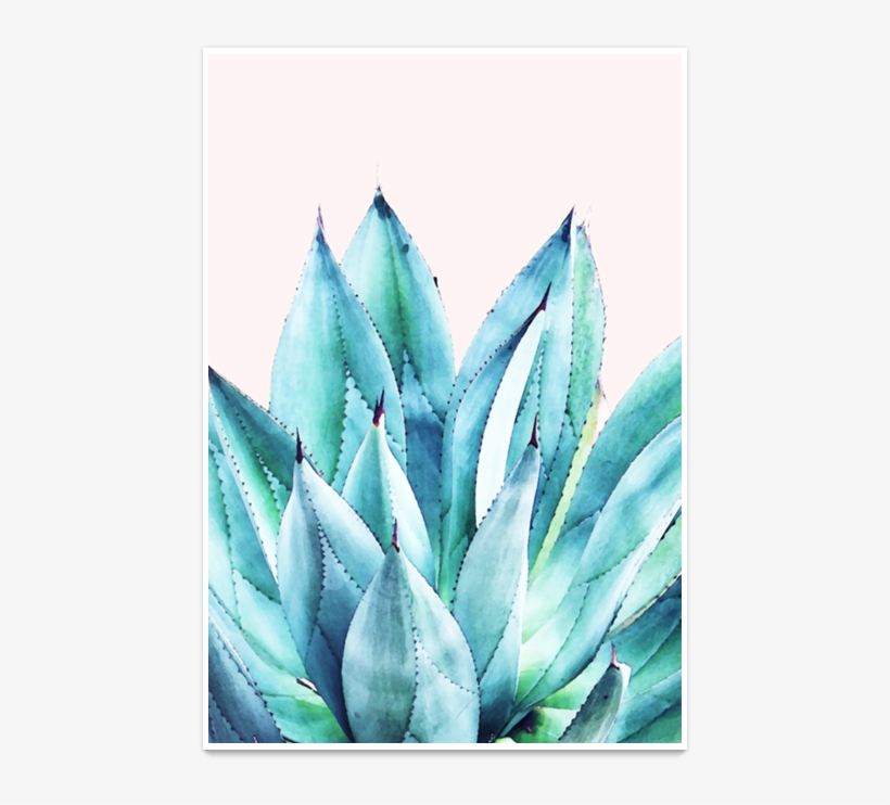 Poster Agave Vibe De 83 Oranges™na - Agave Watercolor, transparent png download