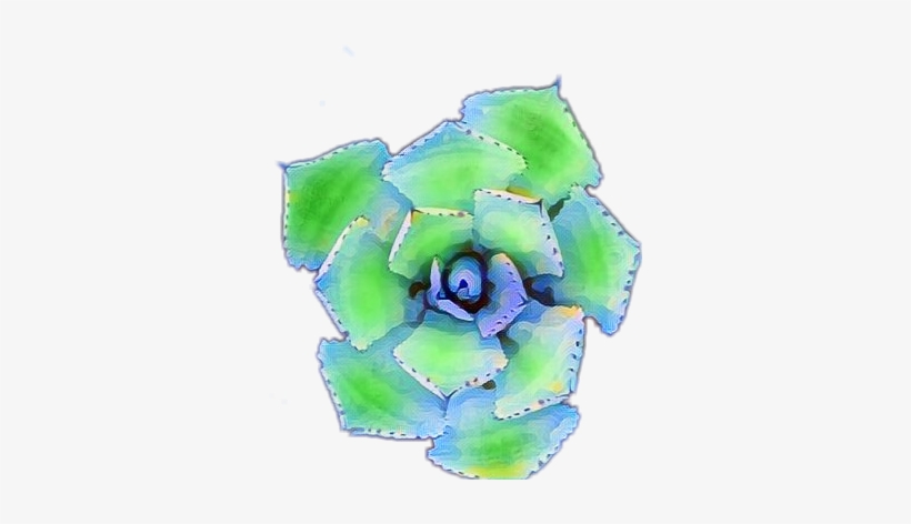 Agave, transparent png download