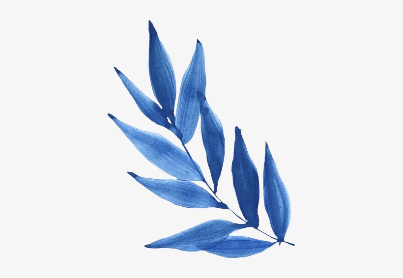 Leaves Art Illustration Wathercolor Blue Flower Freeto - Book, transparent png download