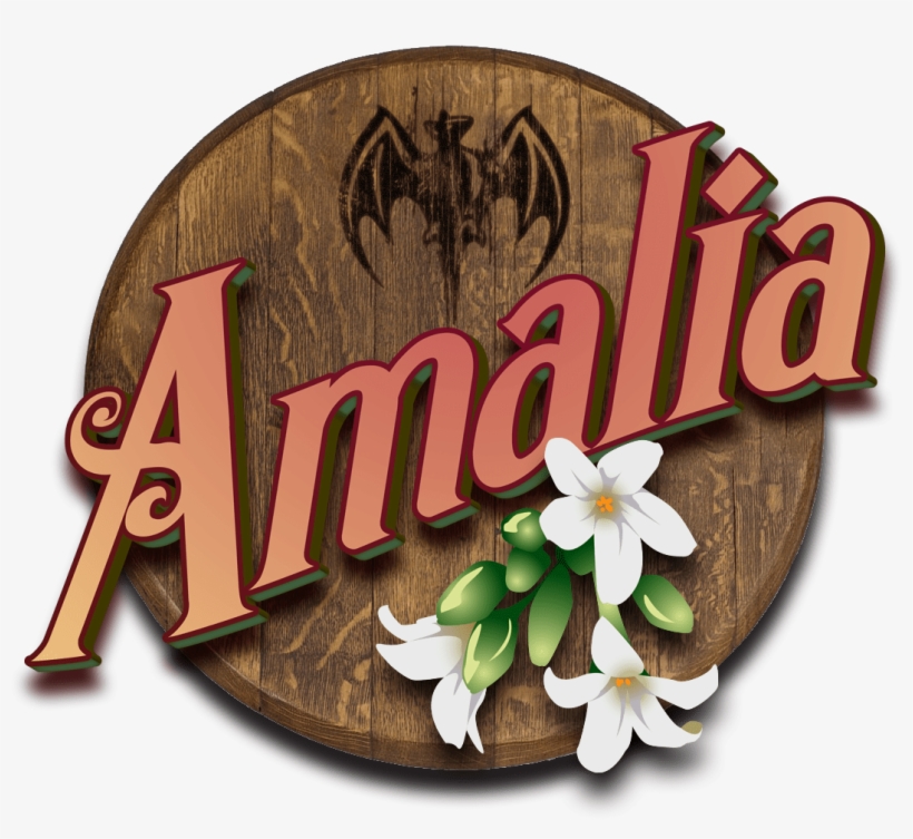The Amalia & My Bacardi Legacy - Illustration, transparent png download