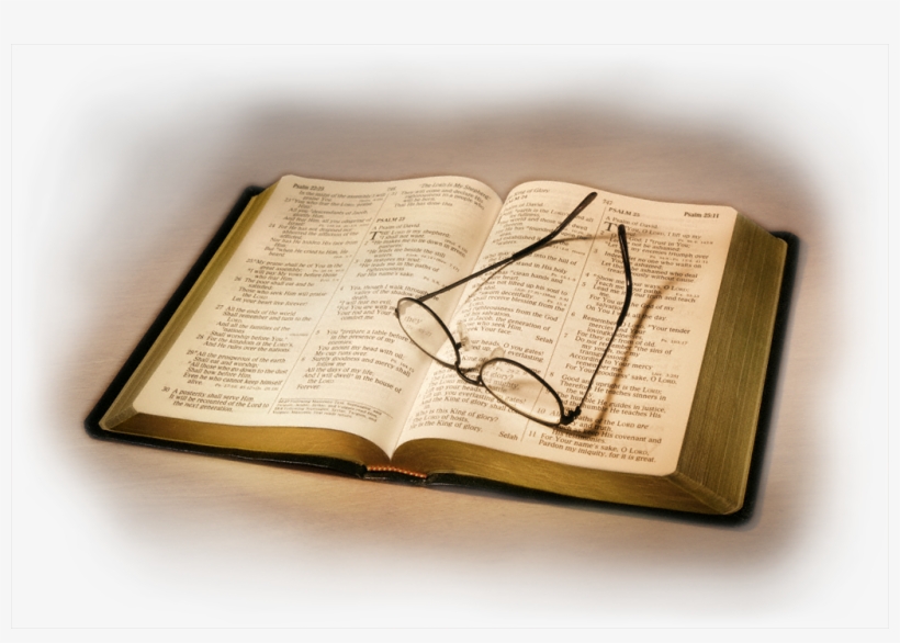 Por Espacio De 21 Años, Y A Quien Le Surgió La Idea, transparent png download