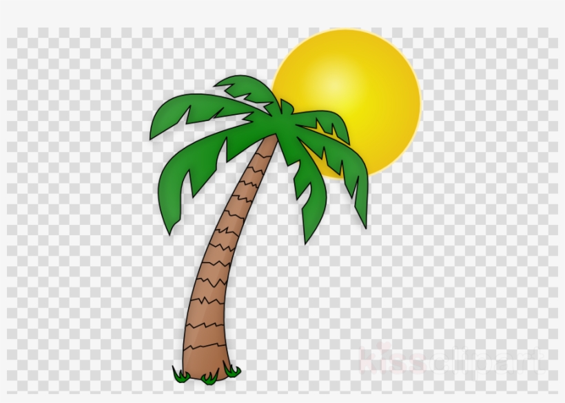 Transparent Background Palm Tree Clipart Palm Trees, transparent png download