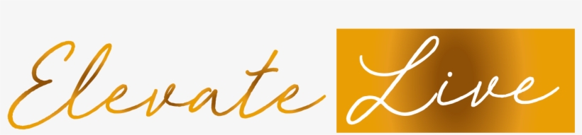 This Is For Those Established Business Owners With, transparent png download