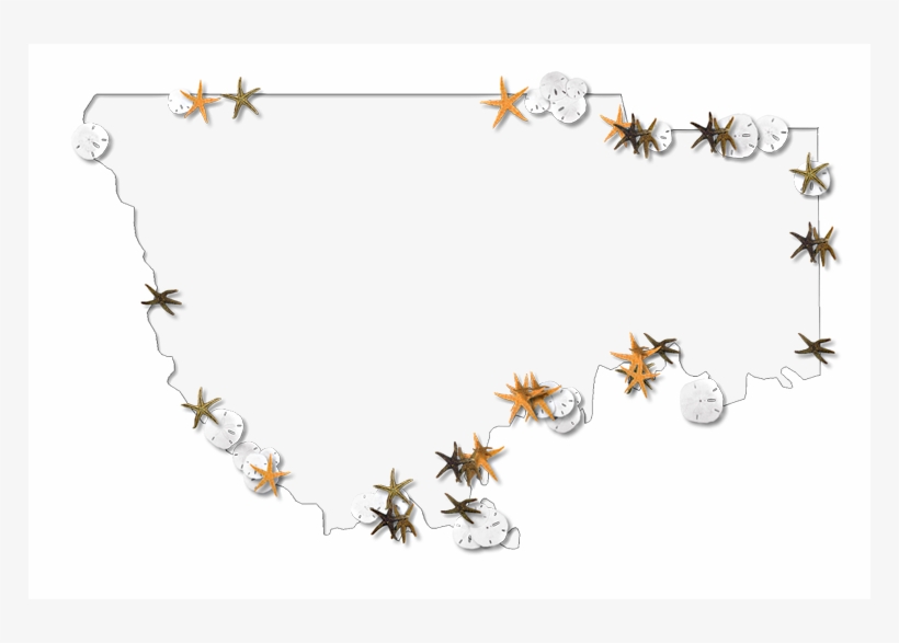 A Map Of Wakulla With A Thin Black Outline, Inner Drop, transparent png download