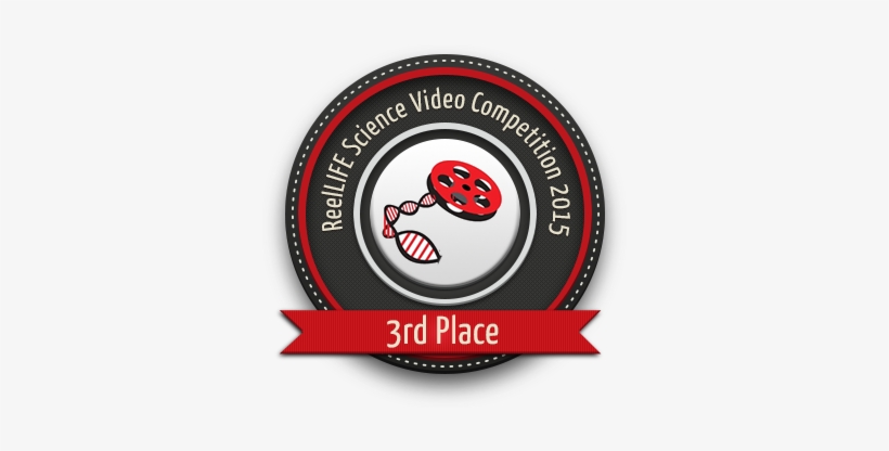 Flip The Coin - Freekwency - Download, transparent png download