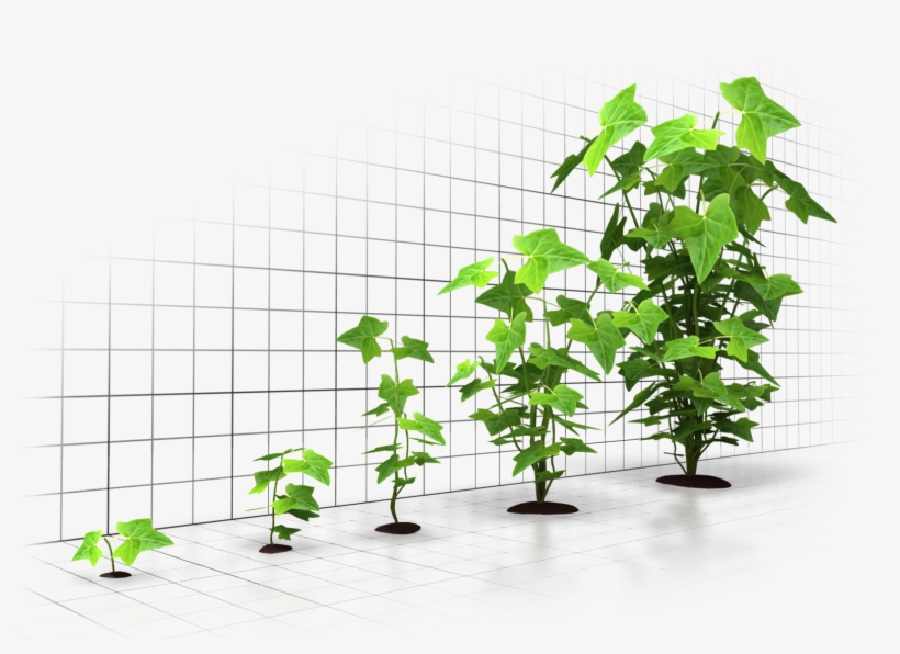 Principles Of Micro Economics-2 (economics), transparent png download