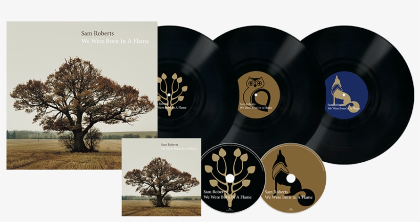 Sam Roberts Band - Roberts Sam: We Were Born In A Flame Cd, transparent png download