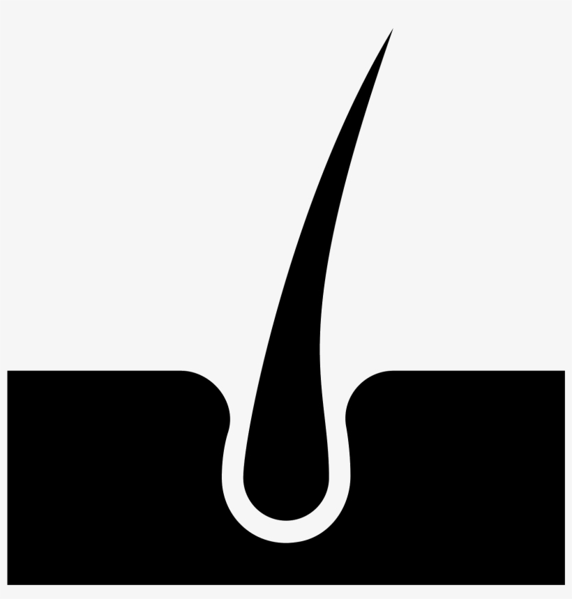 Skin Icon - Hair Follicle Vector Png, transparent png download