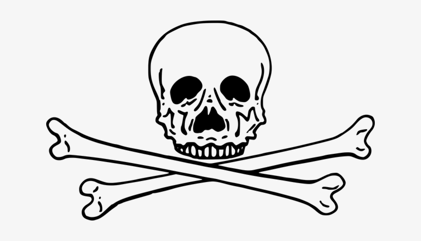 Bone, Crossed, Skeleton, Skull - Cross Bones Png, transparent png download