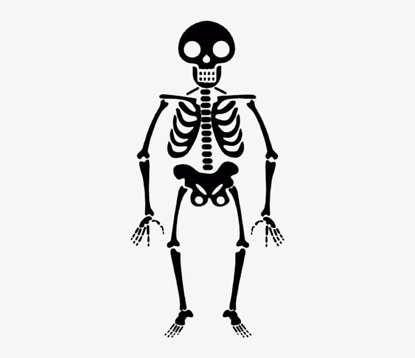 Skeleton Skulls Png Images Free Download - Skeleton Transparent, transparent png download