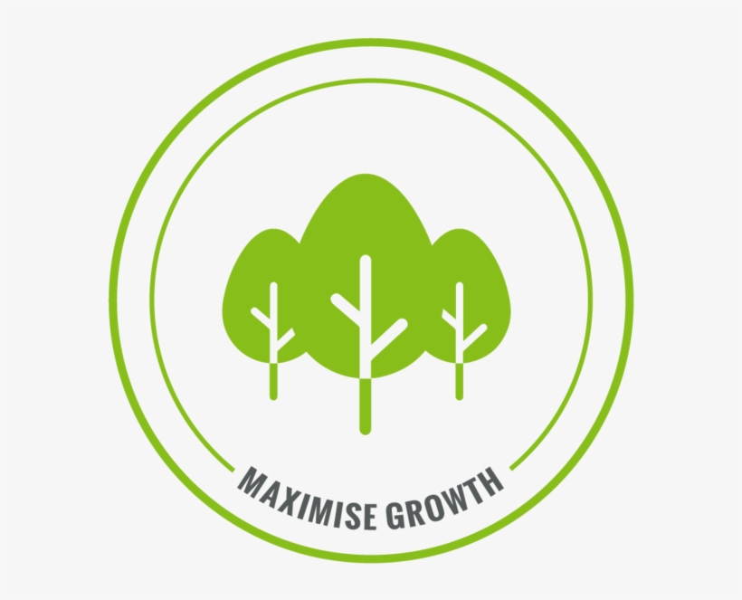 Maximise-growth - Portable Network Graphics, transparent png download