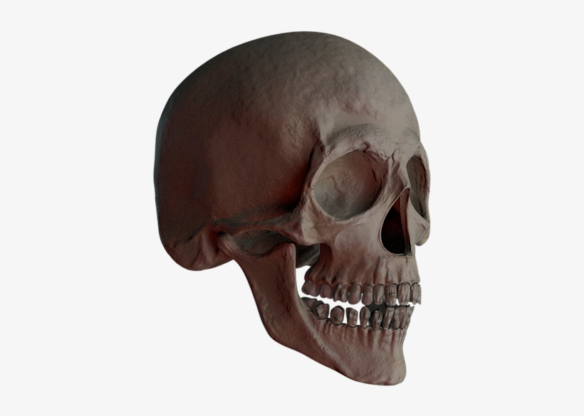 Skull, Skull And Crossbones, Bone, Creepy, Weird, Death - Bone, transparent png download