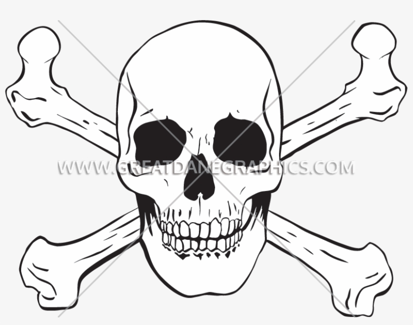 Skull, transparent png download