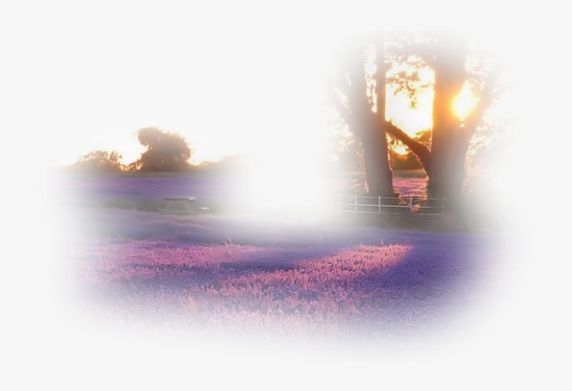 Road, transparent png download