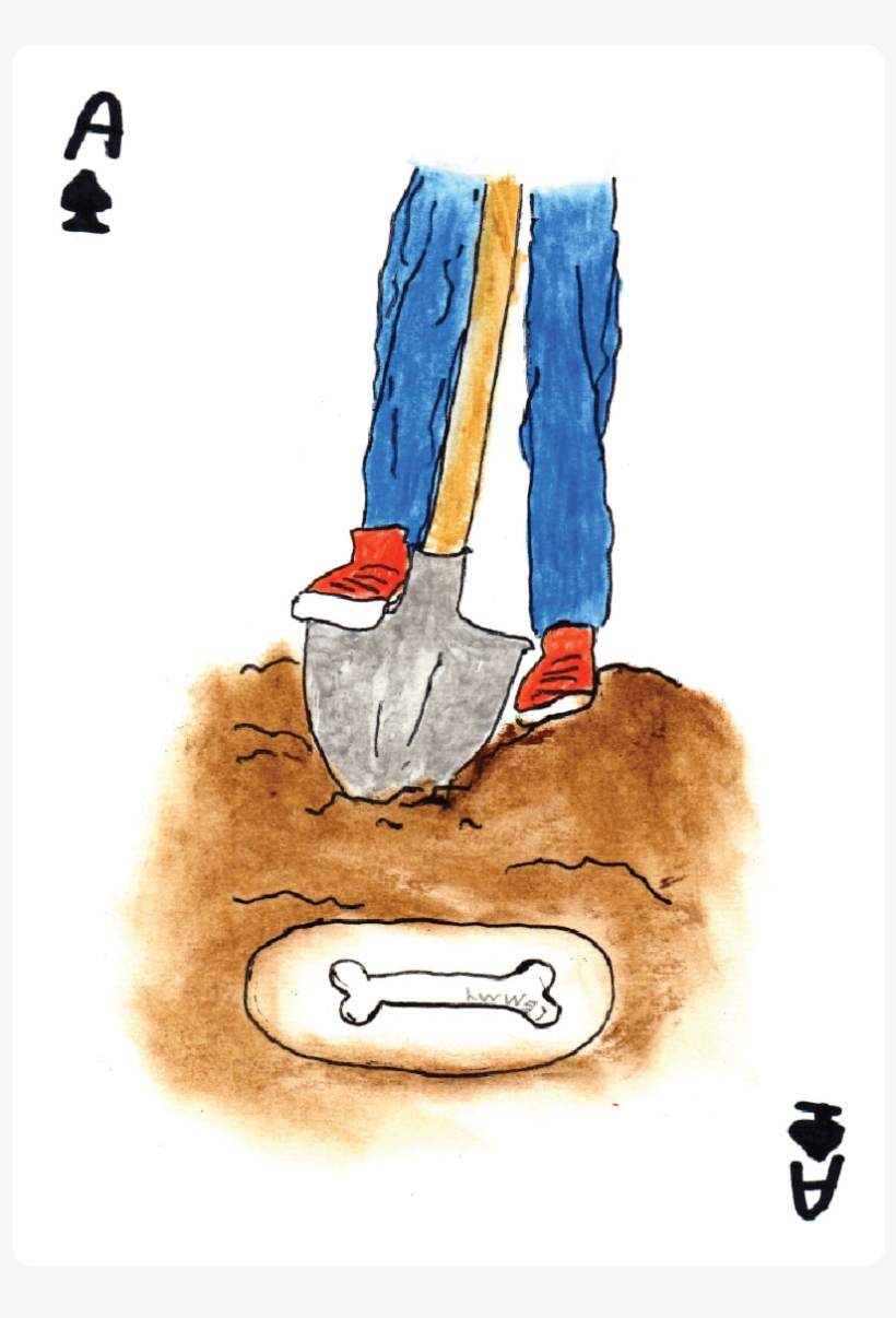 Highlights From The Collection - Still Life, transparent png download