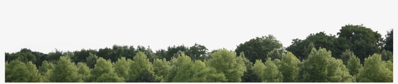 Download Forest Free Png Transparent - Portable Network Graphics, transparent png download