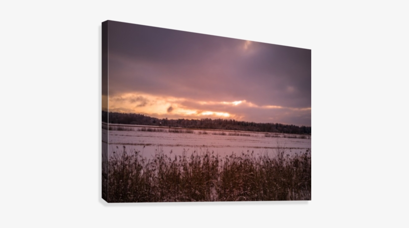 Calm Evening Photo With The Field And Forest With The - Photograph, transparent png download
