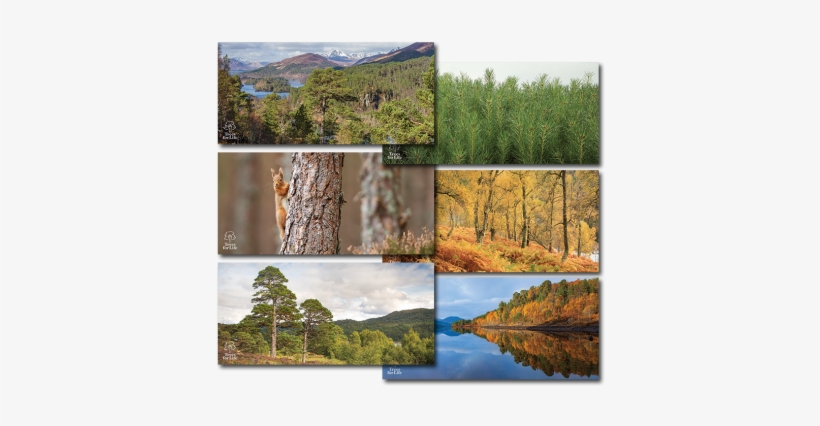 Postcard Pack - Postcard, transparent png download