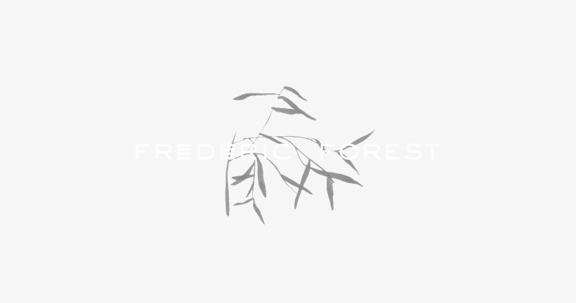 Fforest Intro 02 - Sketch, transparent png download