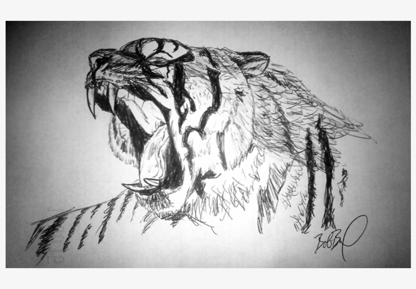 Clipart Transparent Stock Drawing Tiger Roar - Tiger Roar Drawing, transparent png download