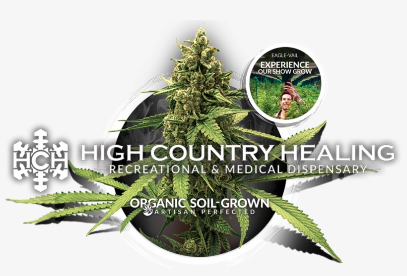 1st Place Winner - Plantation, transparent png download