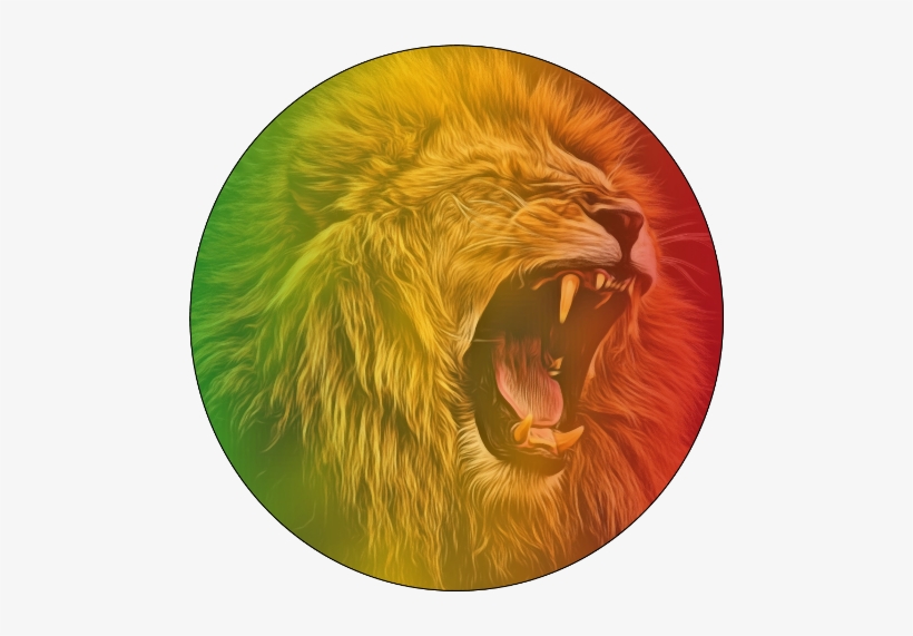 Roar, transparent png download