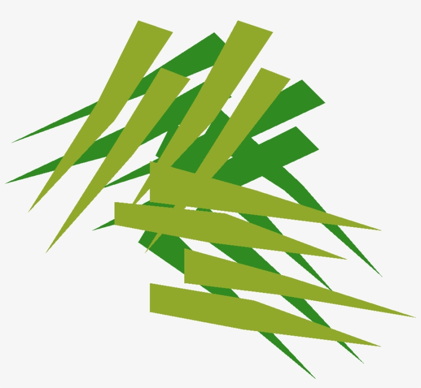 Snake Weed Detail - Grass, transparent png download