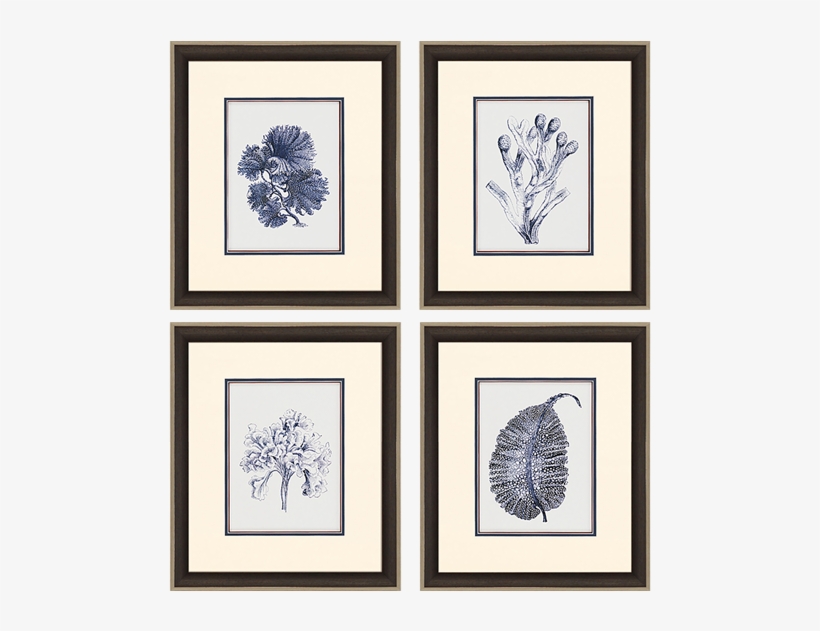 Indigo Kelp Pk/4 - Special Delivery Olympic Paint, transparent png download