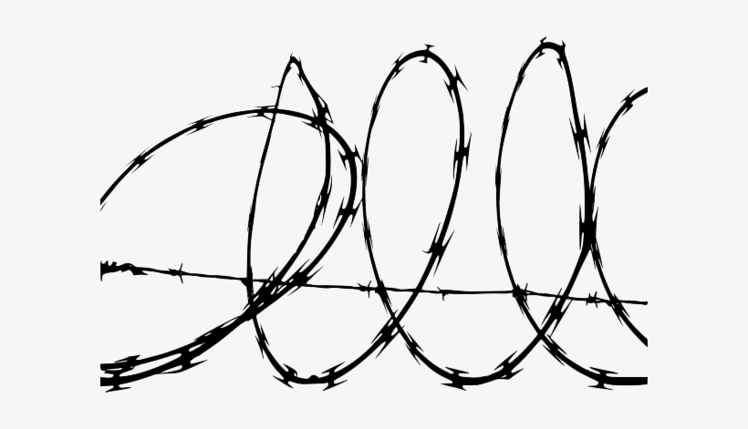 Barbwire Png Transparent Images - Barb Wire Png, transparent png download