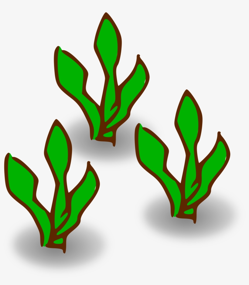 This Free Icons Png Design Of Kelp Forest Heavy, transparent png download