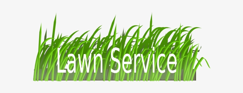 Lawn Clip Art - Grass Texture Clip Art, transparent png download