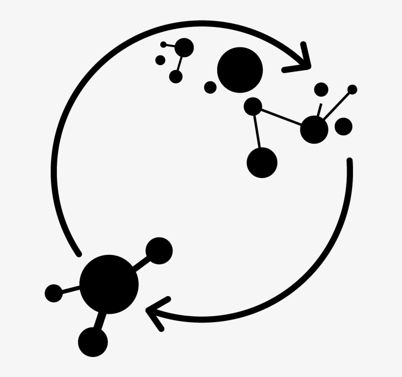 Kelp Is An Ideal Material For The Future Of Sustainable, transparent png download