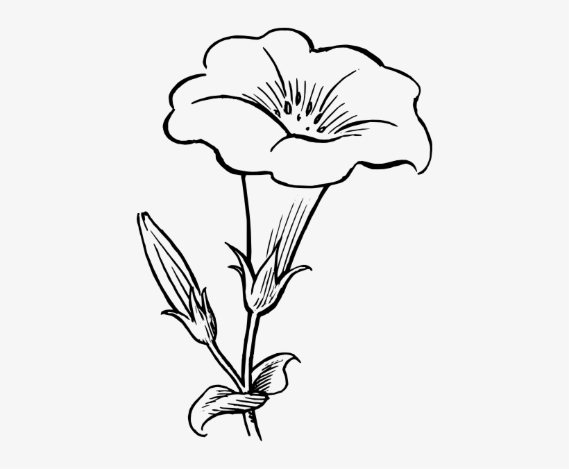 Free Vector Gamopetalous Flower Clip Art - Flower Pic Black And White, transparent png download