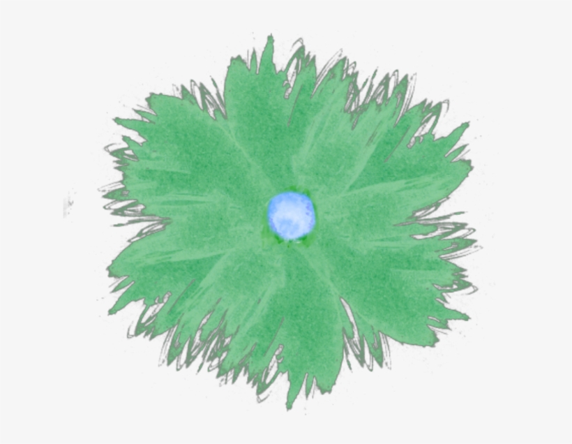 Draw Picture Green Blue Watercolor Flower Nature Artist - Grass, transparent png download