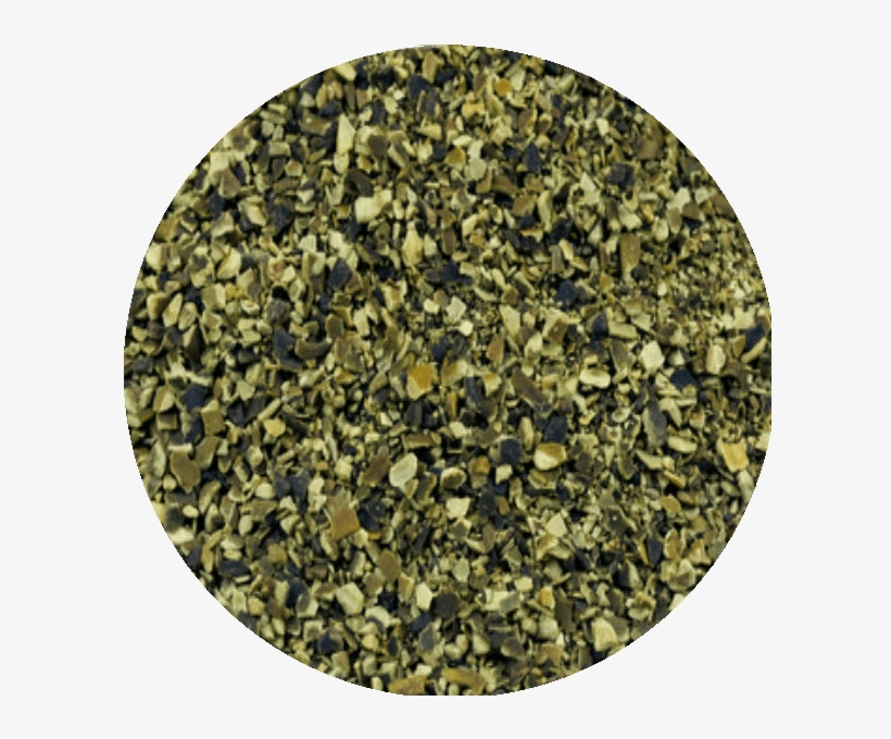 Kelp, transparent png download