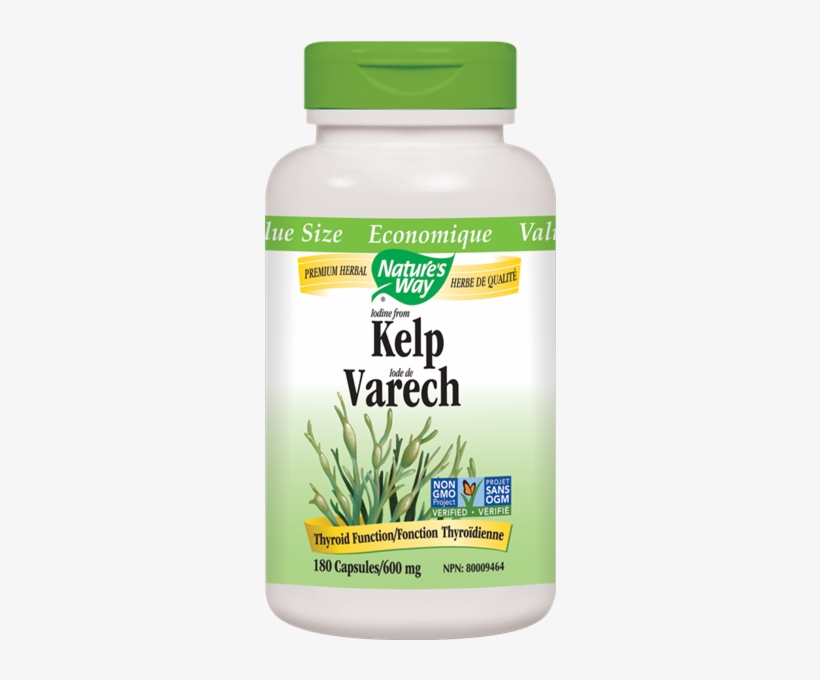 Kelp - Natures Way, transparent png download