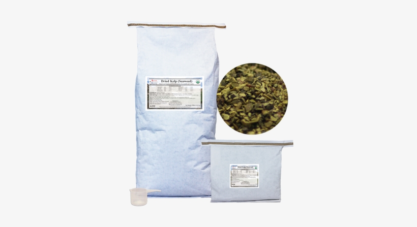 Dried Kelp Seaweed, transparent png download