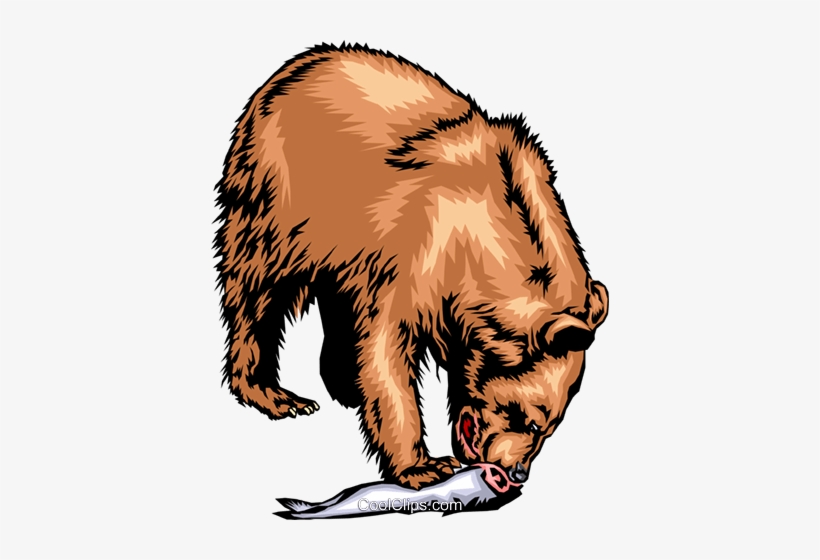 Grizzly Bear Eating A Salmon - Grizzly Bear Salmon Clipart, transparent png download