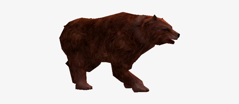 Hungry Brown Bear - Portable Network Graphics, transparent png download
