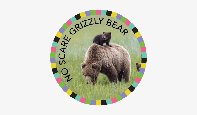 No Scare Grizzly Bear Image - Grizzly Bear Mother And Cubs Np Lake Clark, transparent png download