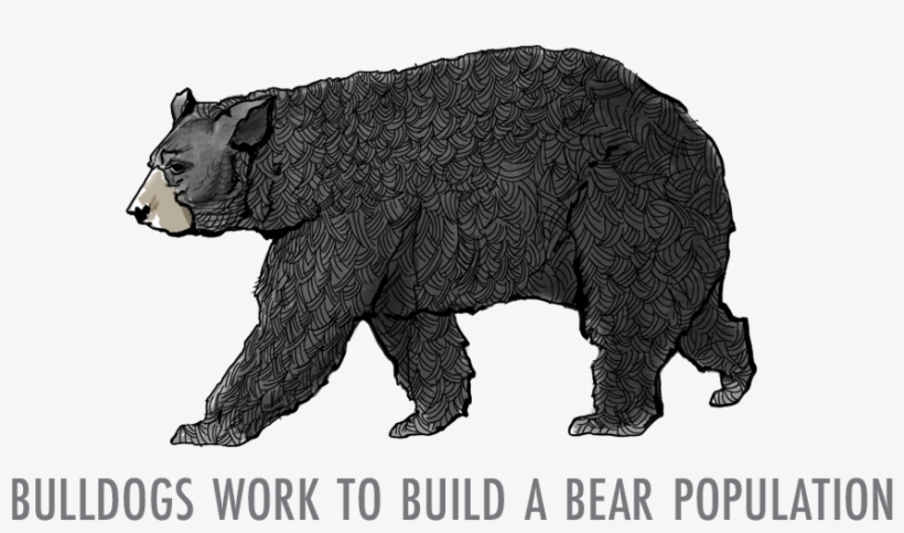 When President Theodore Roosevelt Hunted In The Mississippi - Mississippi, transparent png download