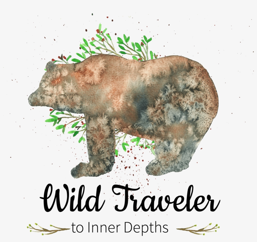 Bear - Celebrant, transparent png download