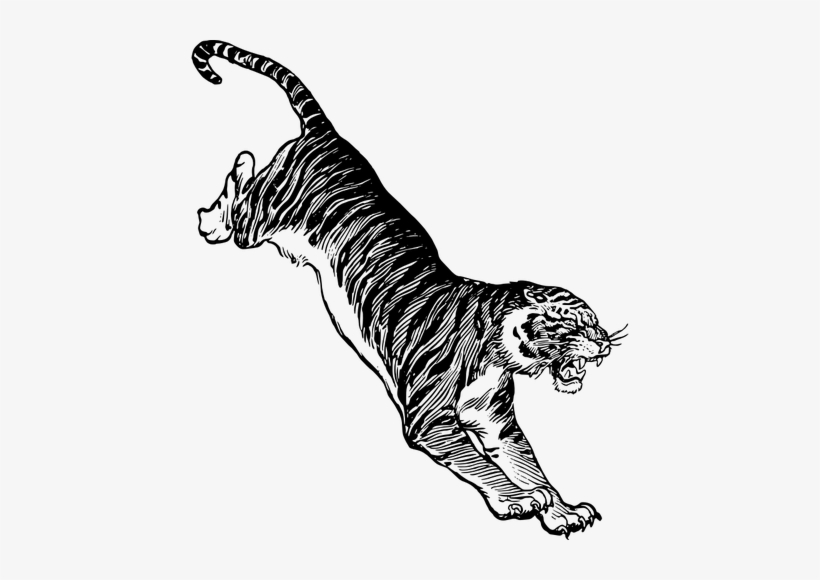 Scratch Drawing At Getdrawings - Parler En Public Sans Peur, transparent png download