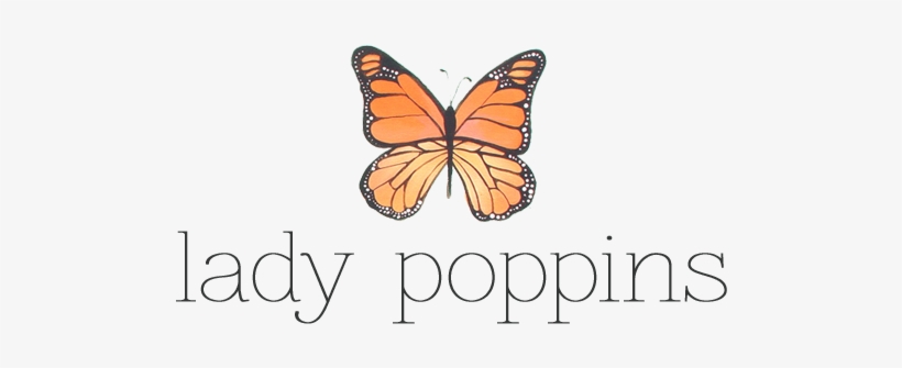 Visit The Shop - Monarch Butterfly, transparent png download