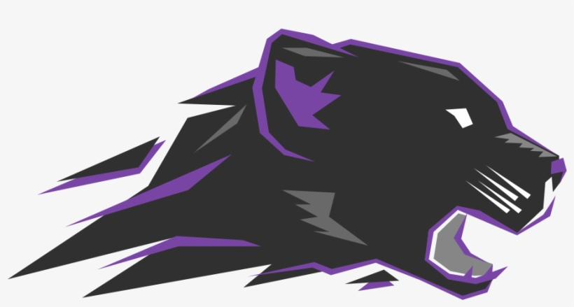 Pantera E Sports, transparent png download