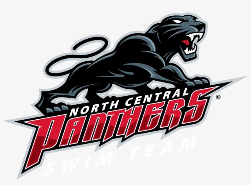 School Panther Logos - School, transparent png download