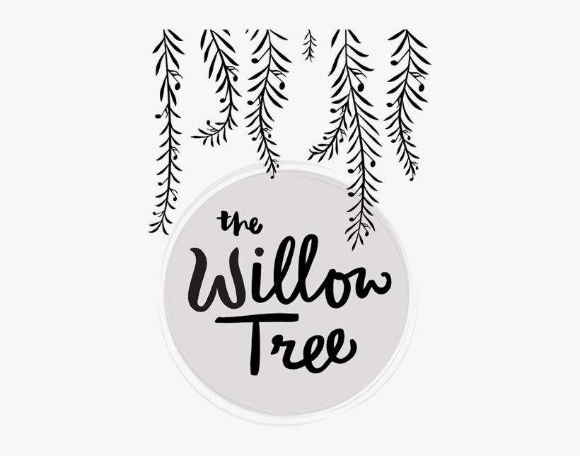 Willow Tree With Dave Eggar - Willow Tree Johnson City, transparent png download