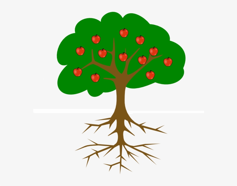 Tree Drawing With Fruits, transparent png download