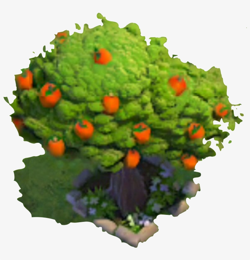 Fruit Tree - Png - Gourd, transparent png download