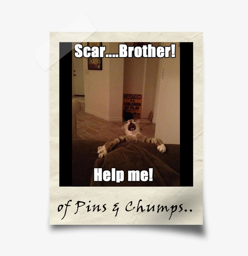 Pin3 PNG Image | Transparent PNG Free Download on SeekPNG